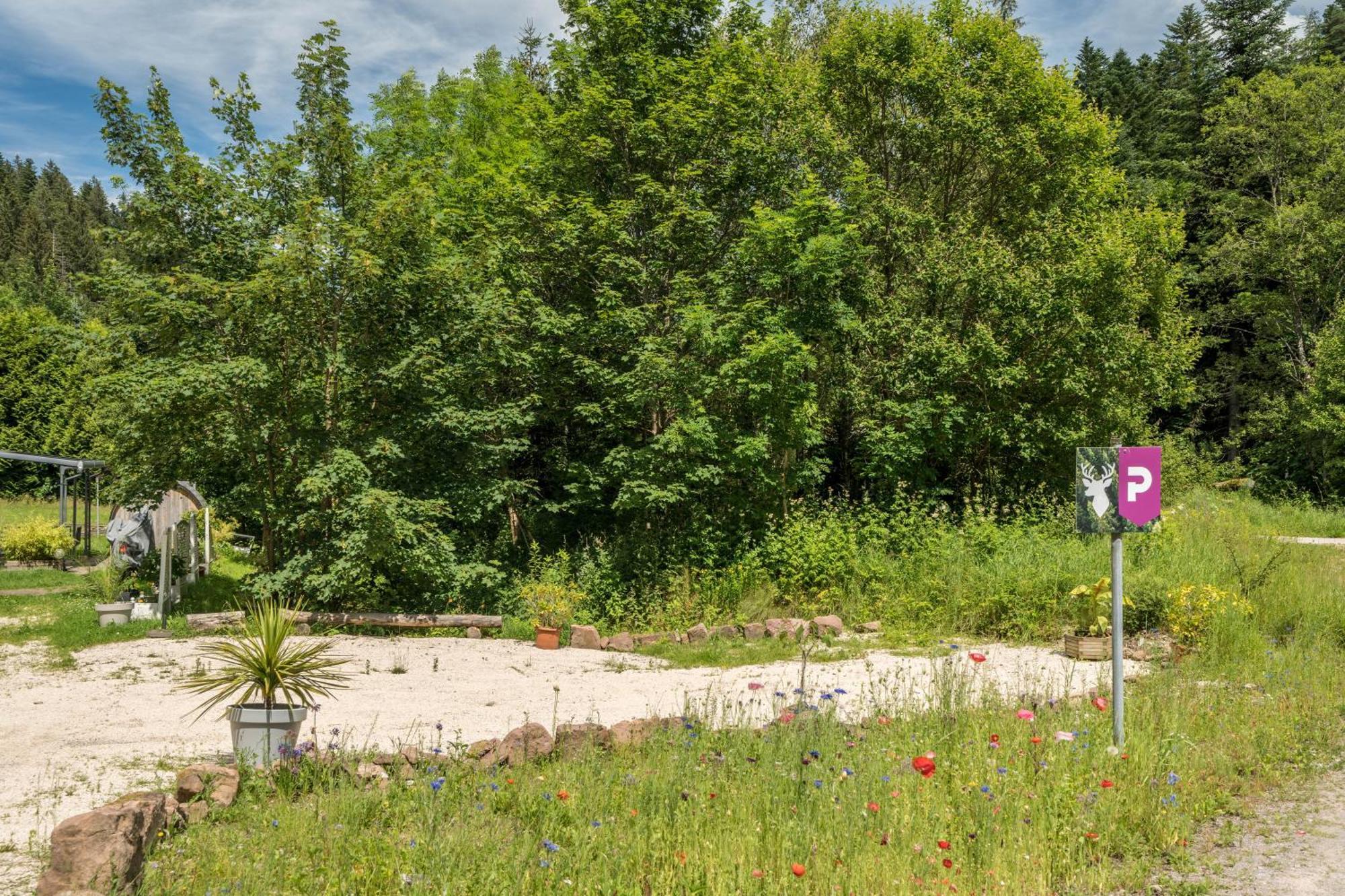 Ferienwohnung Waldblick Freudenstadt Exteriér fotografie